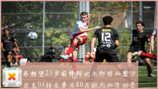 弗赖堡25岁前锋阿达木即将加盟沙尔克04转会费为80万欧元加浮动条件